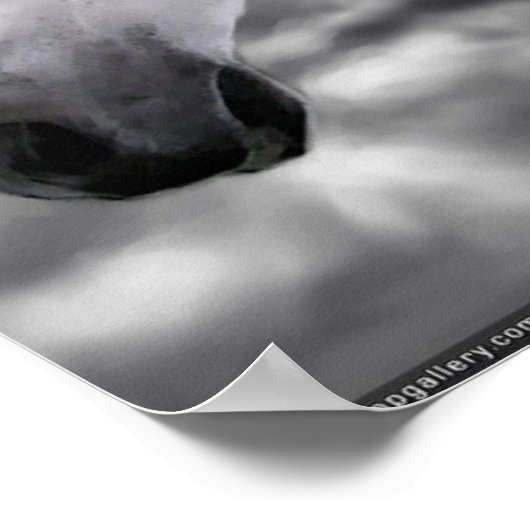 馬 ポスター (角)