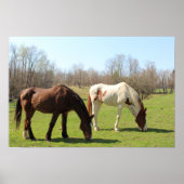 馬 ポスター (正面)