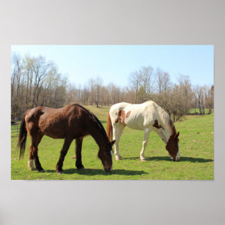 馬 ポスター