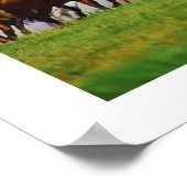 馬 ポスター (角)