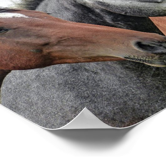 馬 ポスター (角)