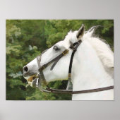 馬 ポスター (正面)
