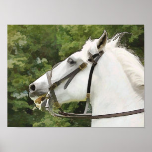 馬 ポスター