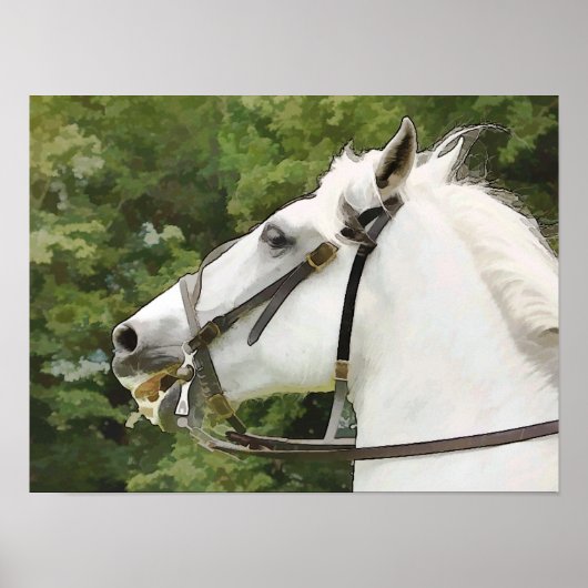 馬 ポスター (正面)