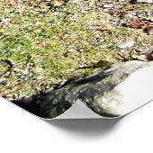 馬 ポスター (角)