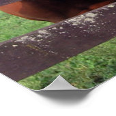 馬 ポスター (角)