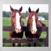 馬 ポスター (正面)