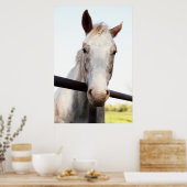 馬 ポスター (キッチン)