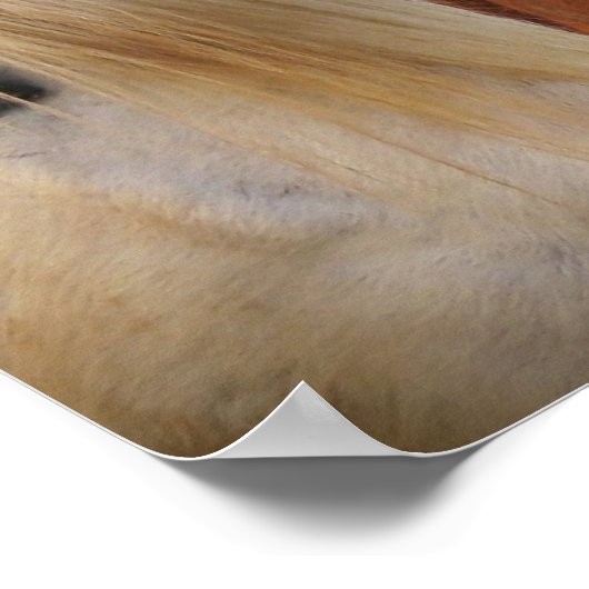 馬 ポスター (角)