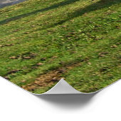 馬 ポスター (角)