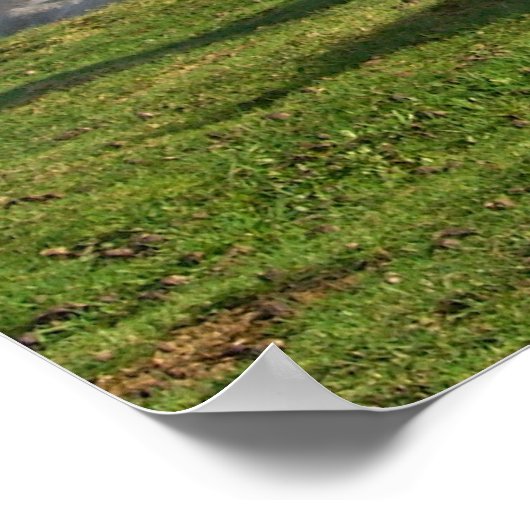 馬 ポスター (角)