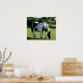 馬 ポスター (キッチン)