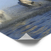 馬 ポスター (角)