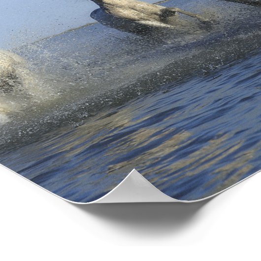 馬 ポスター (角)