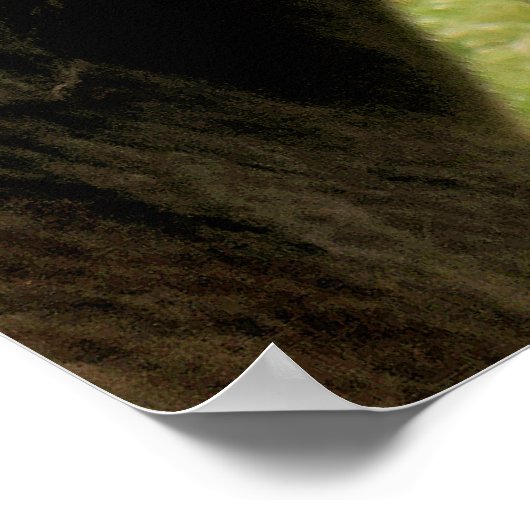 馬 ポスター (角)