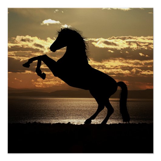 馬 ポスター (正面)