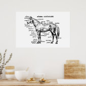 馬 ポスター (キッチン)