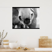 馬 ポスター (キッチン)