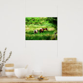 馬 ポスター (キッチン)