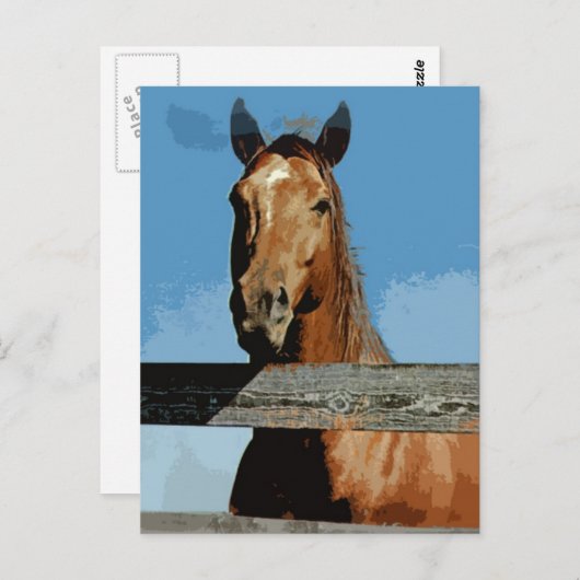馬 ポストカード (正面/裏面)