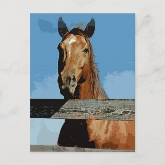 馬 ポストカード (正面)