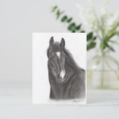 馬 ポストカード (スタンド正面)