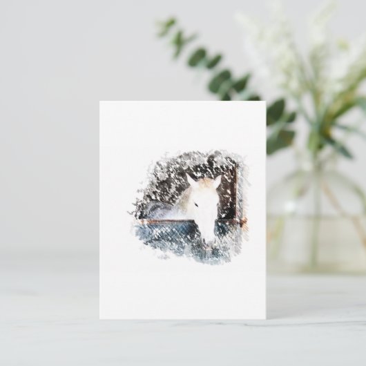 馬 ポストカード (スタンド正面)