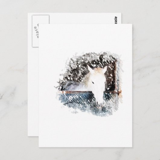 馬 ポストカード (正面/裏面)