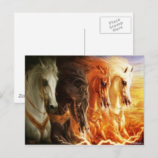馬 ポストカード (正面/裏面)