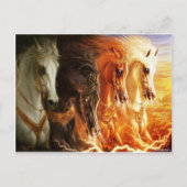 馬 ポストカード (正面)
