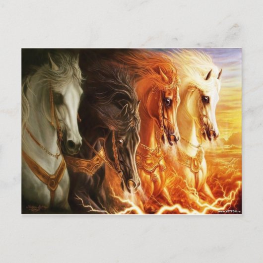 馬 ポストカード (正面)