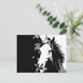 馬 ポストカード (スタンド正面)