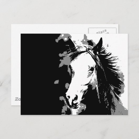 馬 ポストカード (正面/裏面)