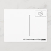 馬 ポストカード (裏面)