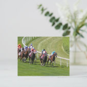 馬 ポストカード (スタンド正面)