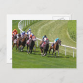 馬 ポストカード (正面/裏面)