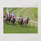 馬 ポストカード (正面)