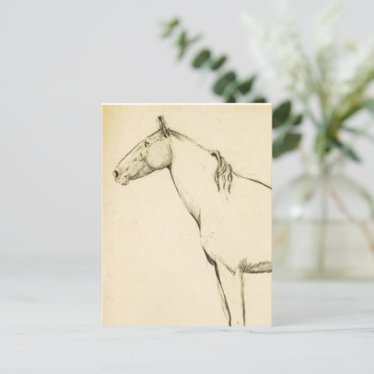 馬 ポストカード (スタンド正面)