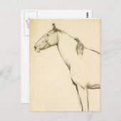 馬 ポストカード (正面/裏面)