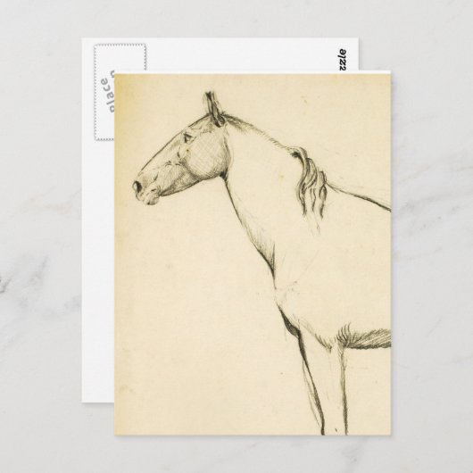 馬 ポストカード (正面/裏面)