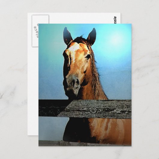 馬 ポストカード (正面/裏面)