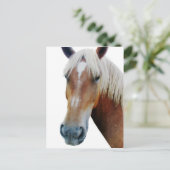 馬 ポストカード (スタンド正面)