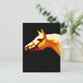 馬 ポストカード (スタンド正面)