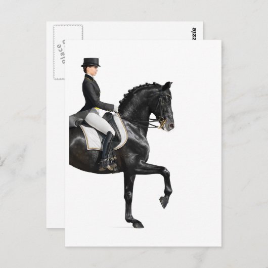 馬 ポストカード (正面/裏面)