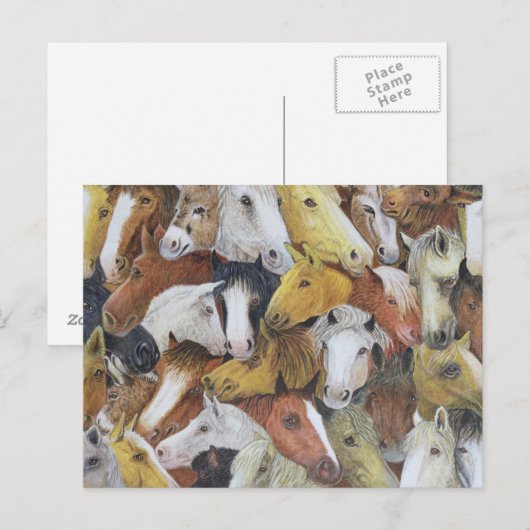 馬 ポストカード (正面/裏面)