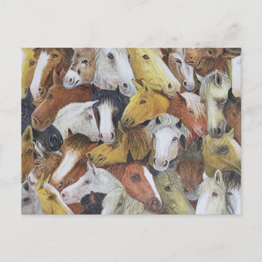 馬 ポストカード (正面)