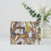 馬 ポストカード (スタンド正面)