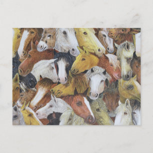 馬 ポストカード