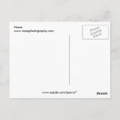 馬 ポストカード (裏面)