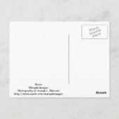 馬 ポストカード (裏面)